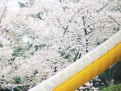 -杭州少年儿童公园