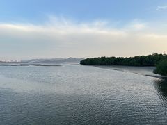 -深圳湾公园(南山区)