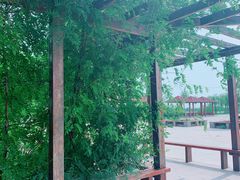 -大港湿地公园