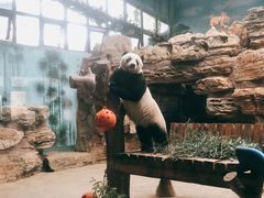 -石家庄市动物园