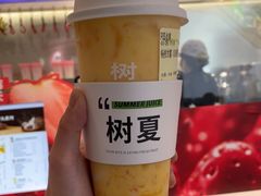 -树夏(金楠天街店)