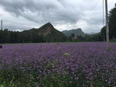 -乌龙峡谷景区