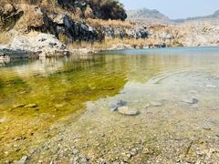 -黄埔油麻山森林公园