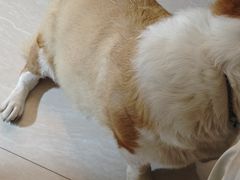 -小镇影院迪士尼小熊Duffy与他的朋友合影地