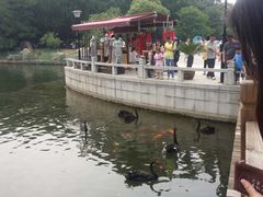 -白马涧龙池景区