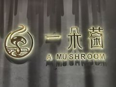 -一朵菌·野生菌探索家火锅(南亚店)