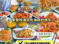 -小海豚•老字号海鲜餐厅(天涯店)