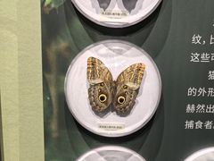 -国家自然博物馆