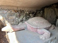 -上海佘山国家森林公园天马山园