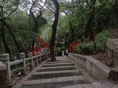 -灵岩山风景区