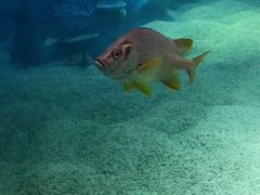 -沈阳海洋探索中心