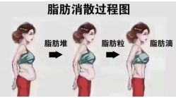 -Fundi张玉珊修身堂·indiba·BTL科技瘦身
