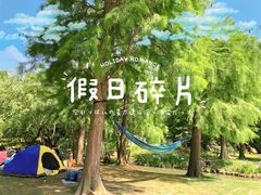 -上海滨江森林公园