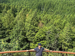 -山王坪喀斯特国家生态公园