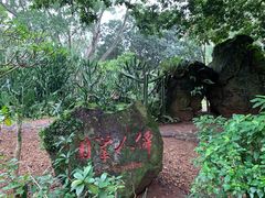 -海口火山口国家地质公园