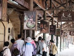 -海南槟榔谷黎苗文化旅游区