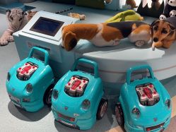 -MINI MARS KIDS CLUB亲子家庭中心(长宁天山店)
