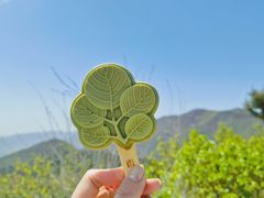 -香山公园