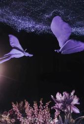 -北京柏悦酒店宴会厅