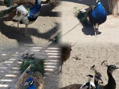 -水上乐园·欢乐世界