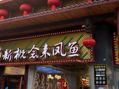 -新概念来凤鱼(璧山店)