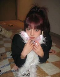 -Y-STUDIO原理