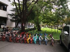 -四川大学(望江校区)