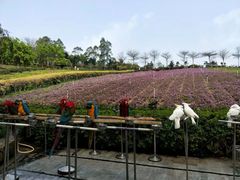 -深圳东部华侨城茵特拉根酒店