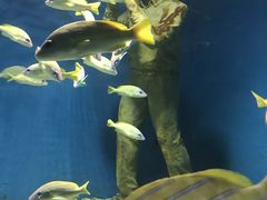 -秦皇岛新澳海底世界
