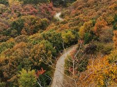 -北京西山国家森林公园