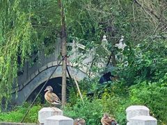 -黑龙江省森林植物园