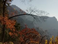 -北京上方山国家森林公园