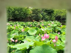 -成都市文化公园