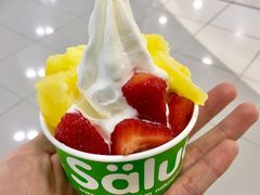 -Salud撒露欧洲冻酸奶(蓝色港湾店)