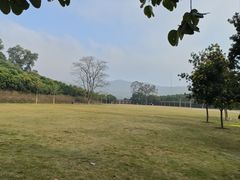-大屏嶂森林公园
