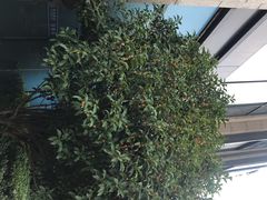 -世纪联华(杭州新塘路店)
