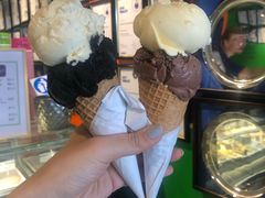 -Dooley's Premium Ice Cream