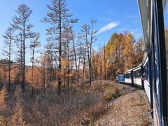 -莫尔道嘎国家森林公园