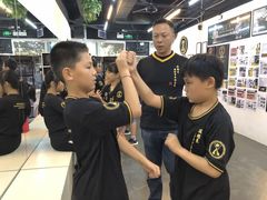 -温鉴良实用咏春拳