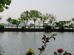 -无锡蠡湖国家湿地公园-蠡园