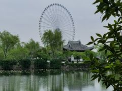 -无锡蠡湖国家湿地公园-蠡园