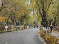 -长白岛森林公园