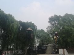 景点-白洋淀景区