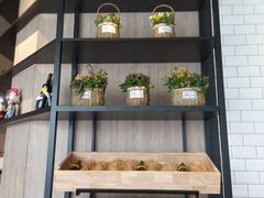 -西堤牛排(合肥之心城店)