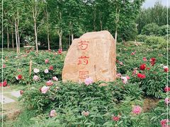 -长春公园(普阳街道)