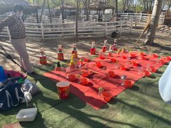 -268童话露营农场·烧烤·团建