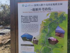 -杨梅坑