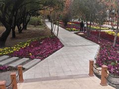 -黑龙江中医药大学