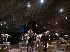 -世界恐龙谷景区