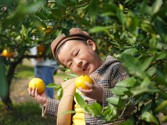 -前小桔亲子创意农场·草莓采摘·露营烧烤